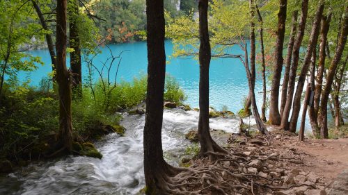 Parc national des lacs de Plitvice en Croatie