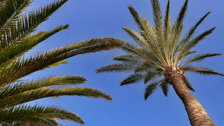 Les 10 destinations incontournables à visiter en 2025