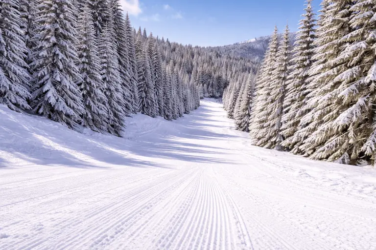 Stations de ski en Roumanie : skier au cœur des Carpates